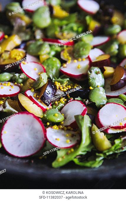 Vegetable salad with broad beans, radishes, plums and a mustard vinaigrette