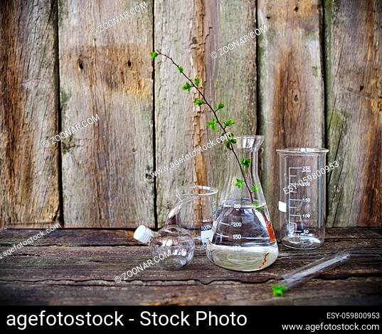 Green plants in laboratory equipment on rustic wooden background