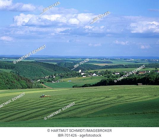 Rural landscape, Eifel region, Germany, Europe