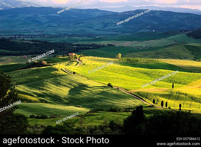 Gladiator Fields in Val d'Orcia Tuscany
