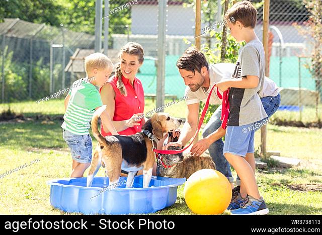 Family playing with dog from animal shelter in pool with water