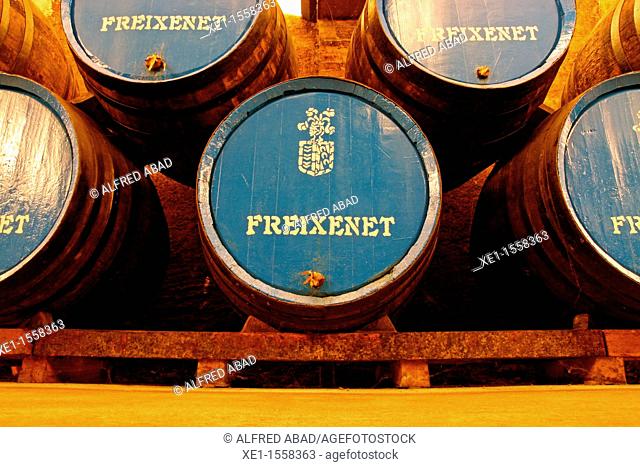 oak barrels, cavas Freixenet, Sant Sandurni d'Anoia, Catalonia, Spain