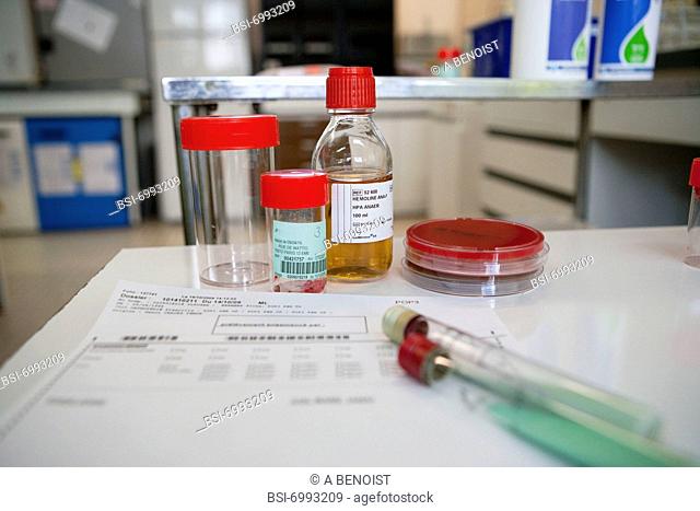 Photo essay at the hospital of la Croix Saint-Simon, Paris, France. Laboratory. Flasks containing bone tissue to be analyzed