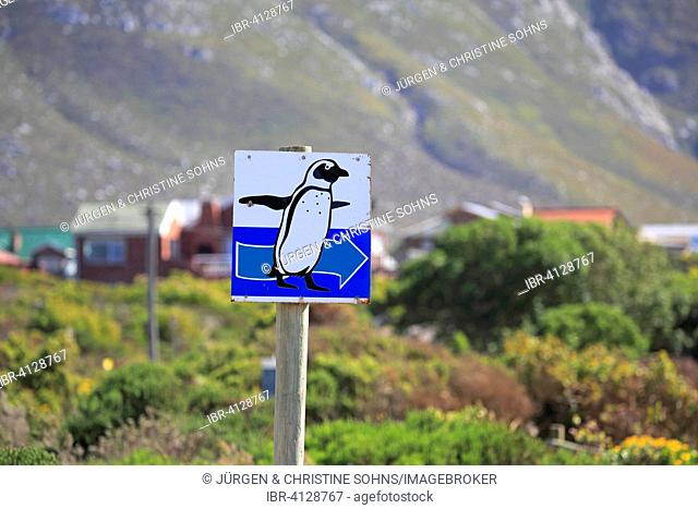 Signpost with penguin, Betty's Bay, Western Cape, South Africa