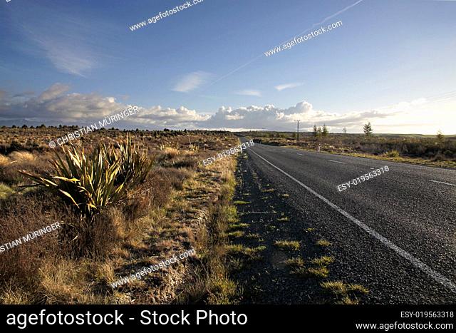 Strasse im Tongariro Nationalpark
