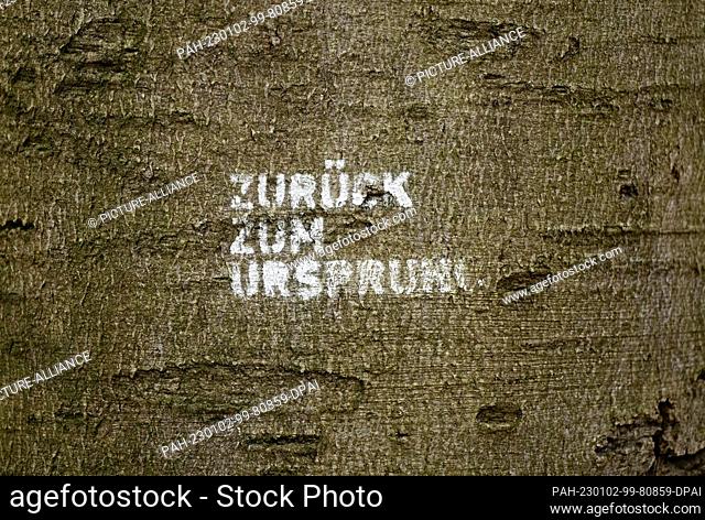 PRODUCTION - 02 January 2023, Hessen, Frankfurt/Main: ""Back to the origin"" is painted in white on the trunk of an old beech tree in Frankfurt's city forest...