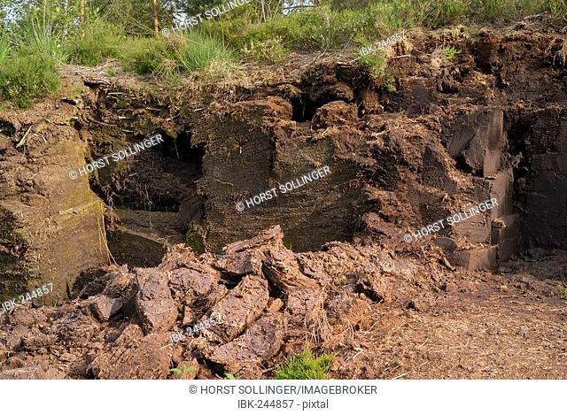 Peat mining claim with recently activity and dried peat turfs in peatbog south of Rosenheim, Germany
