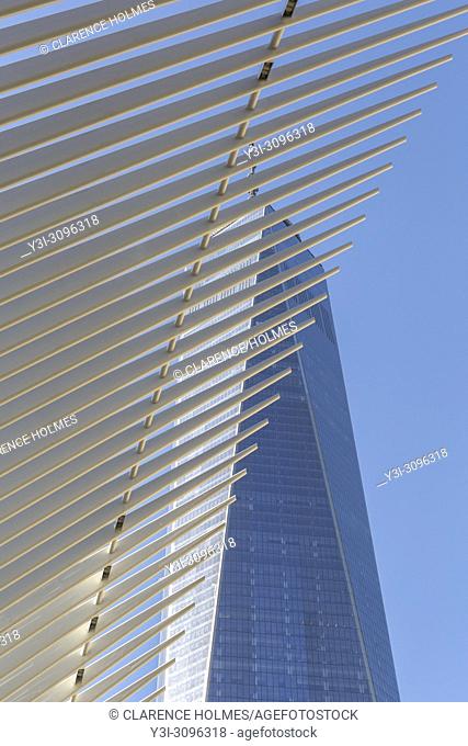 The ribbed wings of the Oculus World Trade Center Transportation Hub contrast with One World Trade Center (Freedom Tower) in New York City