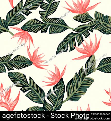 Beach cheerful seamless pattern wallpaper of tropical dark green leaves of  palm trees and flowers..., Stock Vector, Vector And Low Budget Royalty Free  Image. Pic. ESY-055656846 | agefotostock