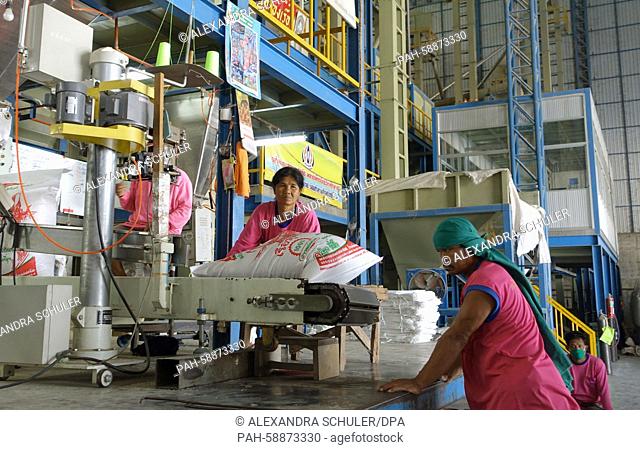 Workers pack rice into sacks at a rice factory in Sukhothai, Thailand, 24 February 2015. Rice is the most important agricultural commodity and staple food in...
