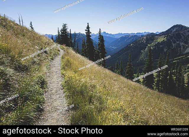 Path and alpine meadows of the Pacific Crest Trail