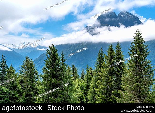 Europe, Austria, Tyrol, Ötztal Alps, Ötztal, view over the mountain forest to the striking trio of Perlerkogel, Graskogel and Schartlaskogel in the clouds
