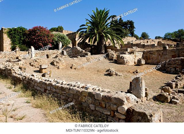 Tunisia - Carthage - The Roman houses