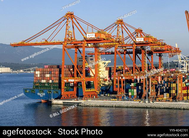 Cranes loading shipping containers in the Port of Vancouver - Vancouver, British Columbia, Canada