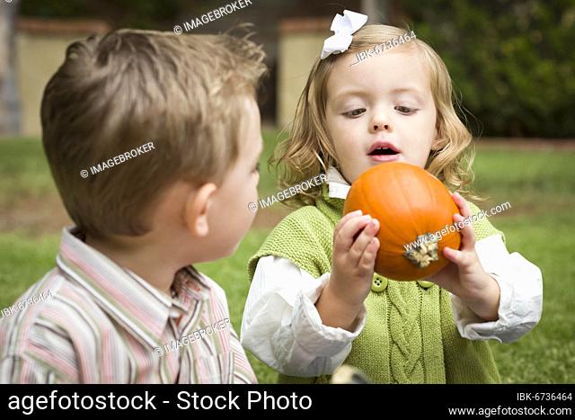 Cute young brother and sister children enjoying the pumpkins at the pumpkin patch