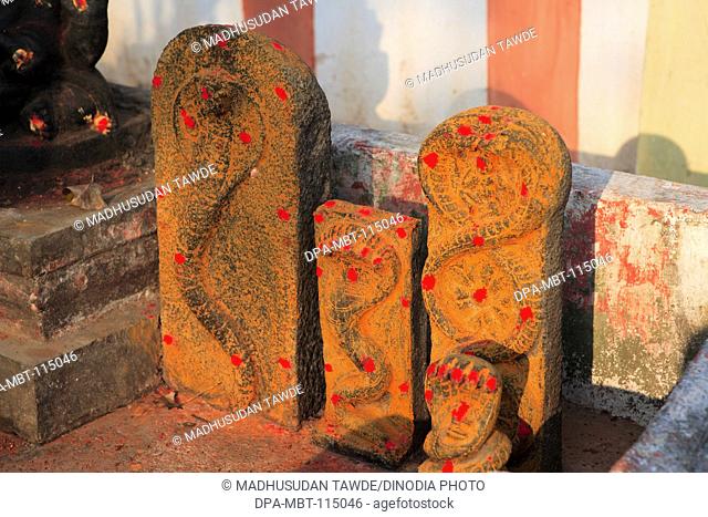 Snake gods in Shore Temple complex ; Mahabalipuram ; District Chengalpattu ;  Tamil Nadu ; India UNESCO World Heritage Site