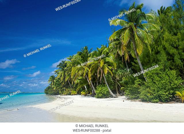 Cook Islands, Rarotonga, Aitutaki lagoon, white sand beach and palm beach