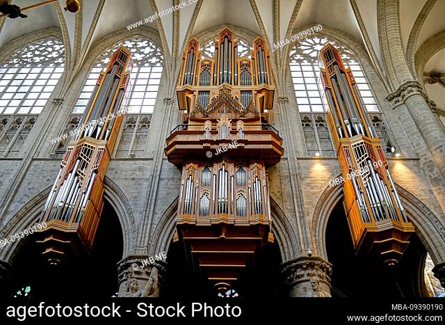 Europe, Belgium, Brussels, Cathedral St. Michael and St. Gudula, inside, church organ