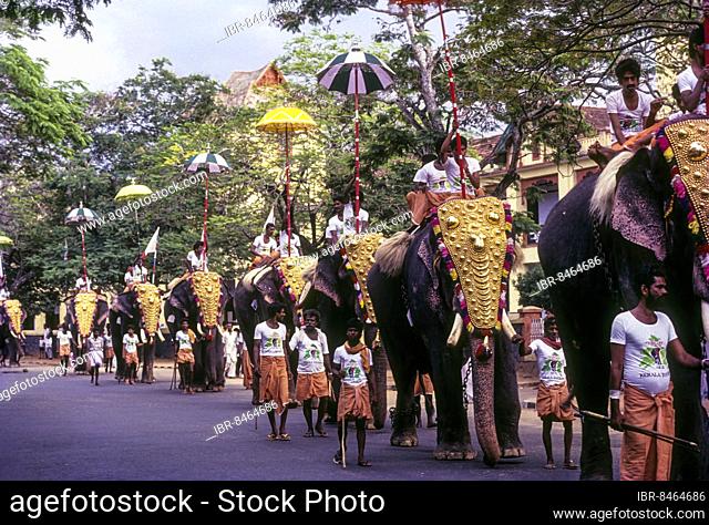 Great Elephant March Festival in Thiruvananthapuram Trivandrum, Kerala, South India, India, Asia