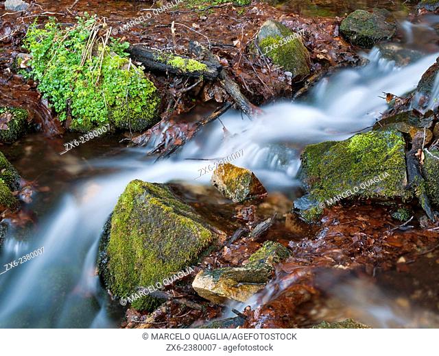 Marianegre stream. Montseny Natural Park. Barcelona province, Catalonia, Spain