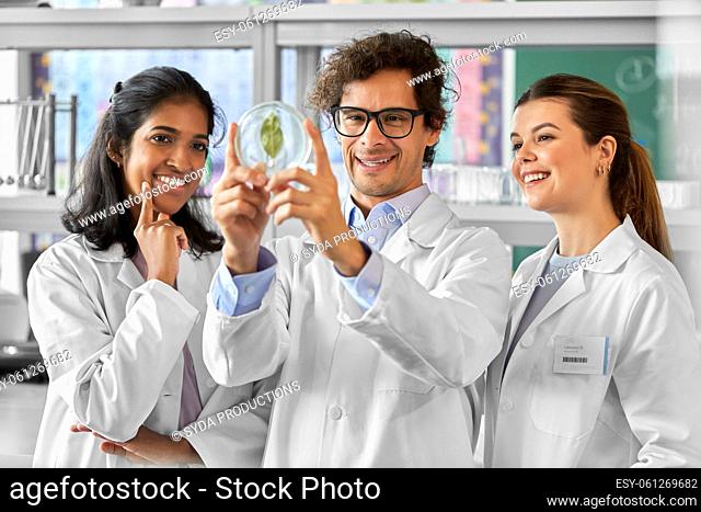 group of scientists with leaf in laboratory