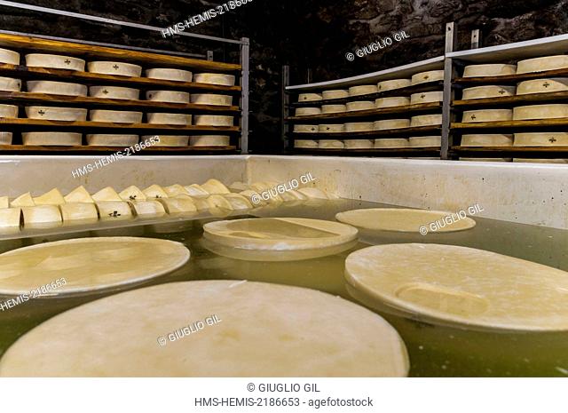 Italia, Val d'Aosta, Morgex, Valdigne fontina cheese factory
