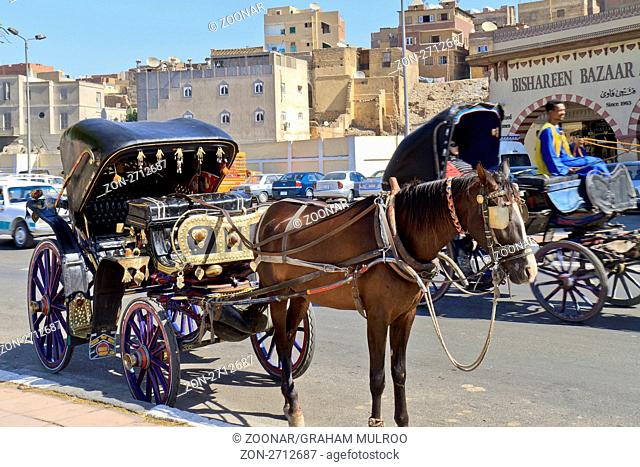 Egypt Aswan Cart In Motion