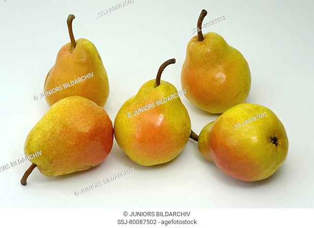 DEU, 2008: Common Pear, European Pear (Pyrus communis), variety: Williams Christ, ripe fruit, studio picture