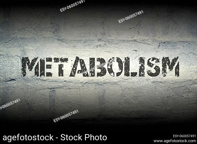 metabolism word stencil print on the grunge white brick wall; specially designed font is used