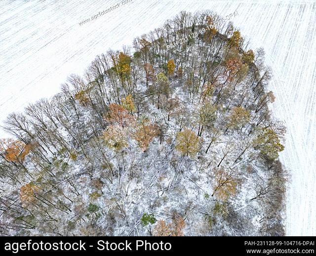 28 November 2023, Brandenburg, Petersdorf: A little snow lies in a forest and on the adjacent field in the east of the state of Brandenburg (aerial view with a...