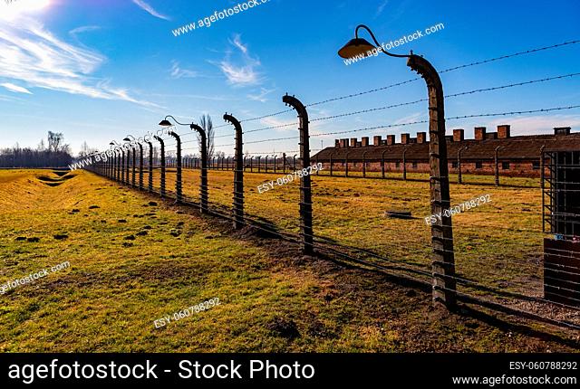 A picture of the fences on the grounds of Auschwitz II - Birkenau