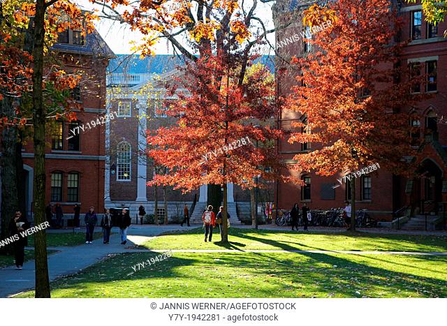 Scenics of Harvard Yard, the central campus of Harvard University, in Indian Summer Fall