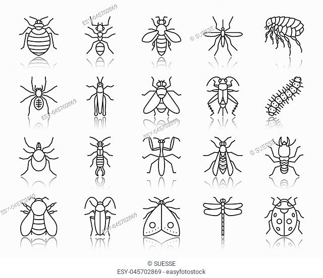 Danger insect thin line icons set. Outline sign kit of bug. Beetle linear icon collection includes ladybug mantis flea. Simple danger insect black contour...