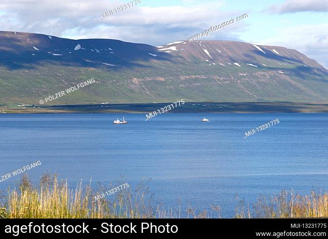 Natural landscape in the north of Iceland with the coast of Greenland Sea