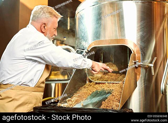 Elderly, professional brewery worker standing near equipment for milling and getting spent grain with shovel. Confident specialist in white shirt and brown...