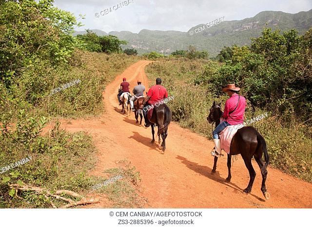Tourist during a horseback riding in the countryside with their Cuban guide, Vinales, Pinar del Rio Province, Cuba, Central America