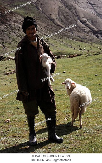 Africa, North Africa, Morocco, High Atlas Mountains, Terraced Fields, Tizi n Tichka, Shepherd, Sheep and her Lamb