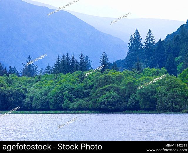 europe, republic of ireland, county wicklow, wicklow mountain national park, lower lake