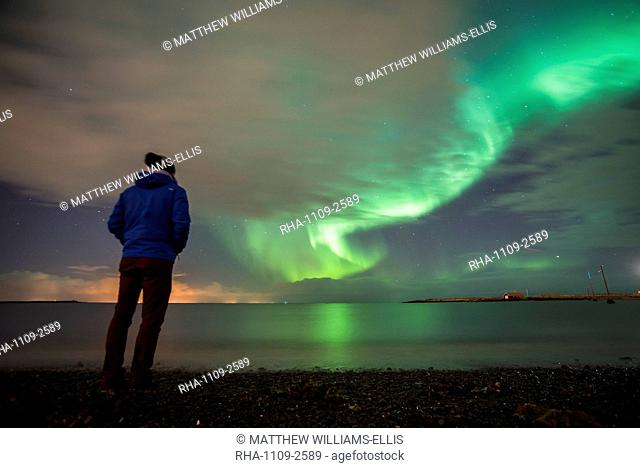 Tourist watching the Northern Lights (Aurora Borealis), Reykjavik, Iceland, Polar Regions