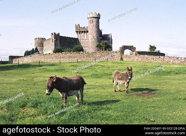 14 July 2020, Ireland, Donegal: Donkeys in Ireland Photo: Stephan Schulz/dpa-Zentralbild/ZB. - Donegal/Ireland