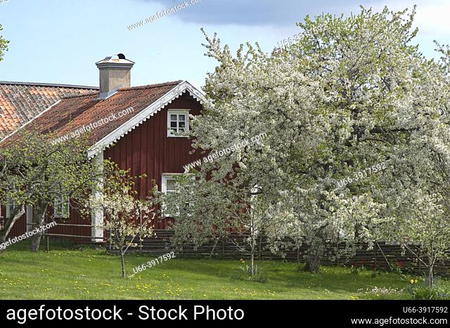 Spring in Småland Sweden Lunds by