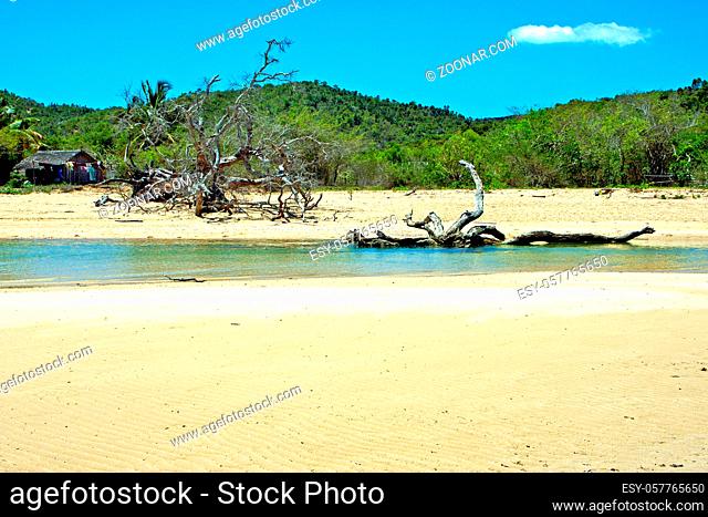 pirogue beach seaweed in indian ocean madagascar people  sand isle   sky   and rock
