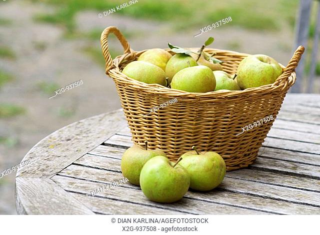 Display of green apples in a rattan basket