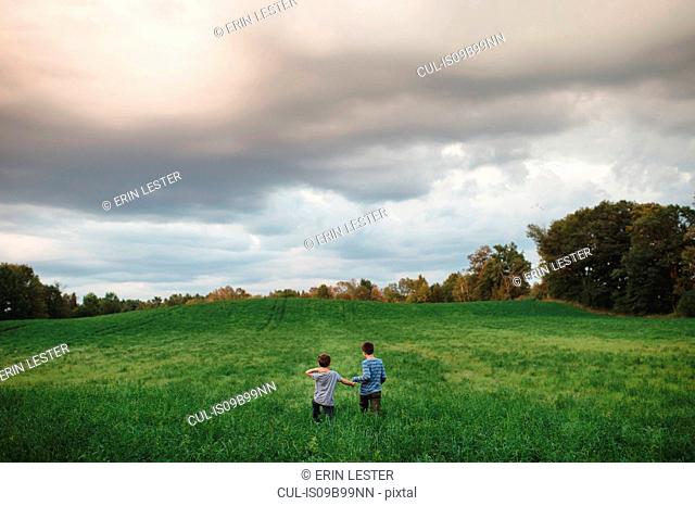 Brothers walking on green grassy field