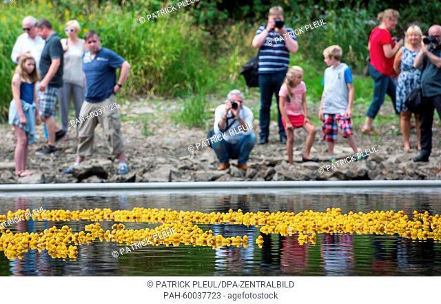 Rubber ducky with competition numbers fall from a bridge into a tributary of the Oder on 12.07.2015 on the Hanseatic City Festival ""Bunter Hering"" (lt:...