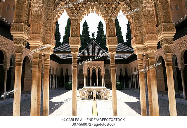 Patio de los Leones. Alhambra. Granada. Spain