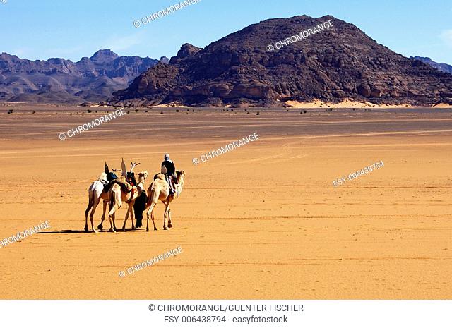 Camel caravan of the Tuareg nomads crossing a vast plain inmidst the Acacous Mountains, Libya