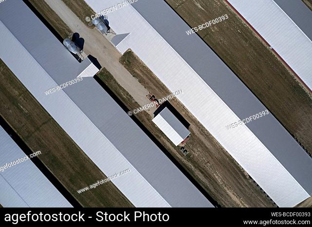 Aerial photo of poultry barns, Accomack County on the Eastern Shore of Virginia, USA