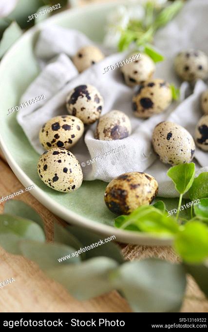 Quail eggs on the plate spring style Easter