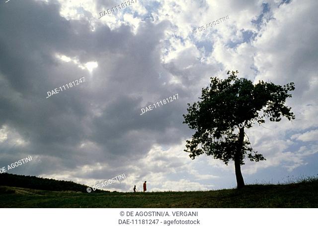Hilly landscape with an oak tree, clouds, a woman and a child, near Assisi, Umbria, Italy